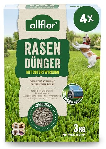Allflor Rasen-Dünger mit Sofortwirkung I 4 x 3 Kg I NPK 12-5-5 I Rasendünger in der Faltschachtel I Dünger ist gut geeignet für Streuwagen I Düngemittel mit hohem Stickstoffgehalt