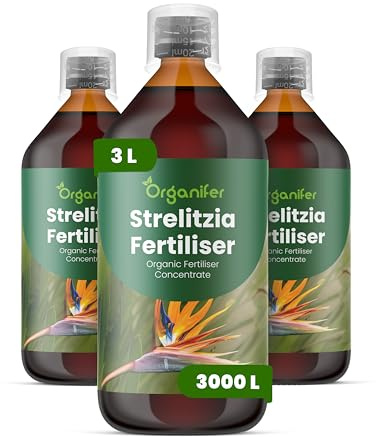 Engrais Liquide Pour Strelitzia - 3L - 2-1-8 NPK | Engrais Pour Floraison Colorée Et Feuillage Luxuriant - Stimule Racines Et Croissance - Organifer