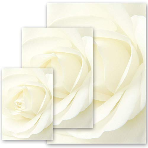 50 Sheets Motif Letter Paper! Flowers Motif, Rose Motif White Rose DIN A4 - Paper-Media