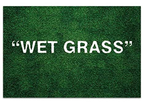 TIKLO Wet Grass Carpet Luxury Green Grass Lounge Rug Area Rug Living Room Floor Mat Bedroom Bedside Window Sofa Rug Home Decor 40X60cm