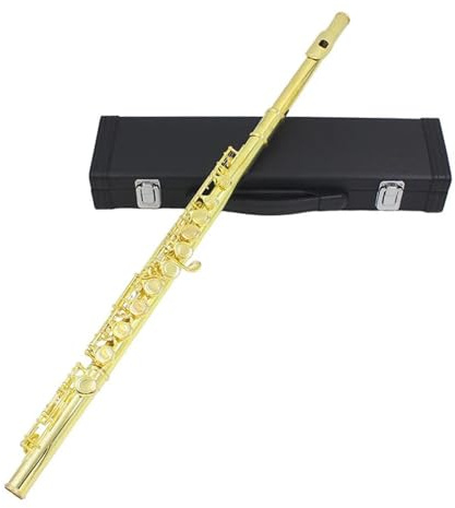 Flöte Flöte Mit 16 Geschlossenen Löchern C-Taste Flöte Performance-Flöte Holzblasinstrumente Querflöte Mit E-Taste(Golden)