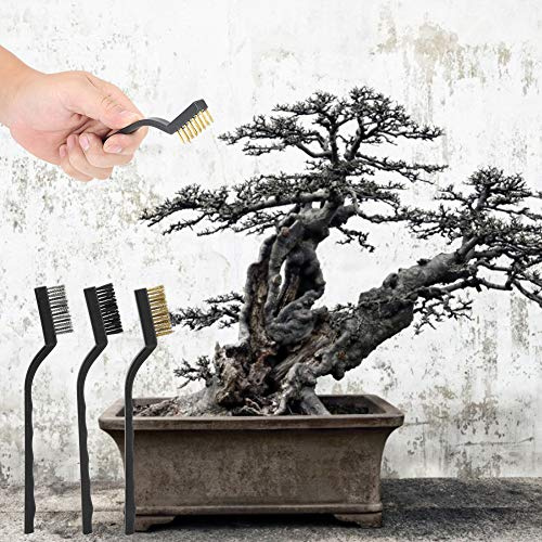 3-teiliges Bonsai-Pinsel-Set – Baumrindenbürste und Fugenbürste für Bonsai-Bäume – Kleine Größe für Präzise Details – für die Pflege und Pflege von Zimmerpflanzen