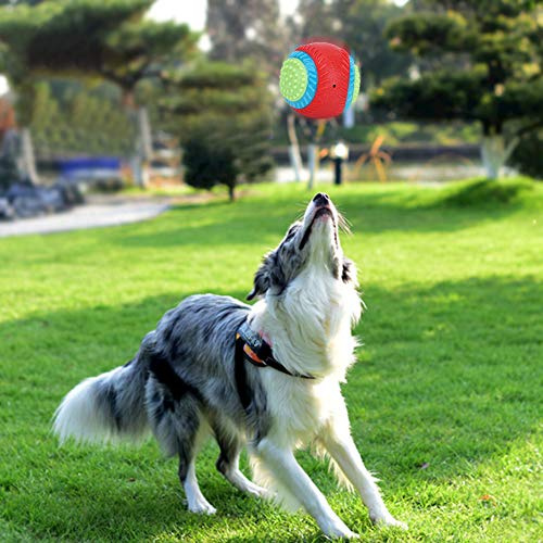 Yctze Balle élastique Interactive en Caoutchouc pour Chien – Jouet à Mâcher Sûr pour Les Soins Dentaires et l'entraînement – ​​Jouet à Rapporter pour Animal de Compagnie pour s'amuser et Créer des