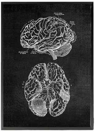 1 St Anatomikonst Vit Och Svart Medicinsk Dukmålning Blommaorgel Cardio Lung Affischutskrift Utbildning Sjukhus Heminredning