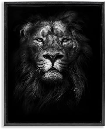 Stupell Industries 'Lion In Shadows Photography', Floating Frame Canvas Art, Black, 25 x 31 Inches, Easy to Hang and Sturdy, Made in USA, by Design Fabrikken