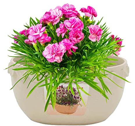 PW TOOLS Vaso per la conservazione del Tubo da Giardino | Vasi da Fiori per Interni | Vaso portaoggetti a Forma di Pizzo, griglia di infiltrazione e Design sospeso a Parete, Stile Pizzo in Argilla