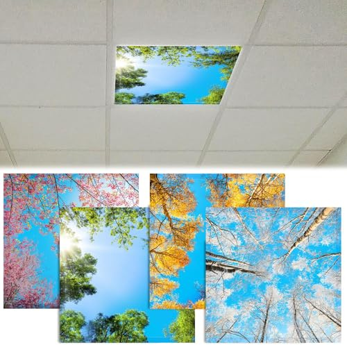 4 Pcs Fluorescent Light Covers 2 x 2 Feet Magnetic Ceiling Light Classroom | Reducing Harsh Glare Flicker Led Filters Shield for Office Home Studio School Drop Decor (Spring Summer Autumn Winter)