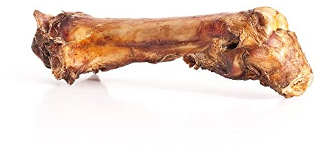 mascota vital - Premium Pferde-Knochen - Pferdeknochen - schonend luftgetrocknet - höchste Qualität - Hundeknochen - gut verträglich - Sensible Hunde - Allergiker - großer Hundeknochen (5, Pferd)