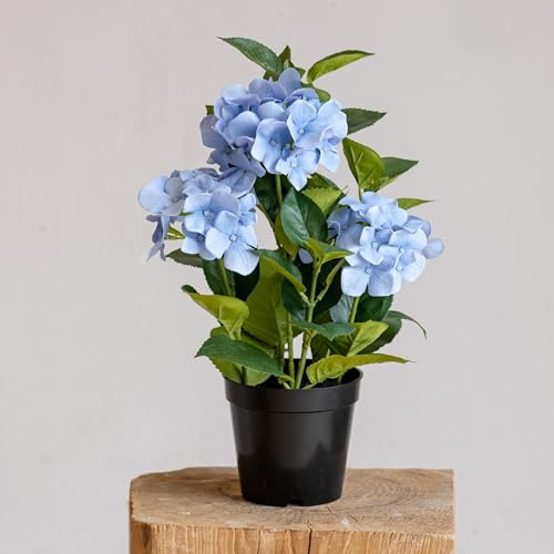 Avoeco Hortensia artificiel avec pot