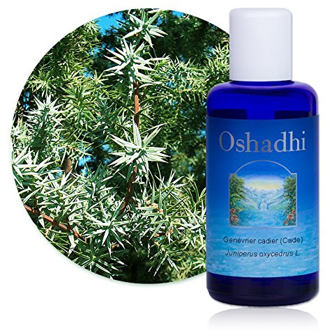 Hydrolat (Eau florale) : Genévrier cadier (Cade) BIO - Juniperus oxycedrus L. - 100 ml