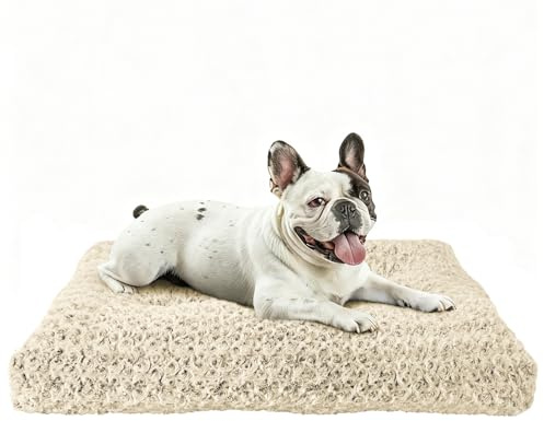 Homaxy Hundebett Mittelgroße Hunde, Flauschig Ergonomisches Hundematte Hundekissen waschbar Hundebetten mit rutschfest Unterseite für Mittelgroße Hunde, 74x54x7cm, Beige