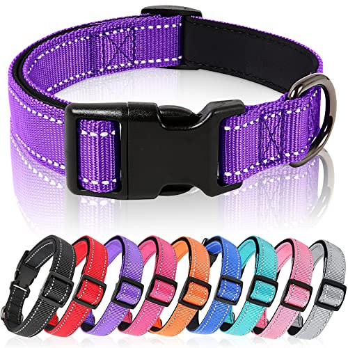 HEELE Collare per Cani, Collare Cane Riflettente Imbottito Nylon Regolabile Traspirante Collari per Cani di Taglia Media, Viola, M(34-52cm)