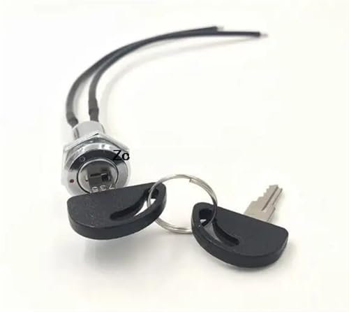 735 Schlüsselschalter, Netzschalter, elektronisches Schloss, 2 A, 125 AC, Loch 16 mm, Doppelstecker, 2 Fuß, mit 15 cm Kabel, 1 Stück