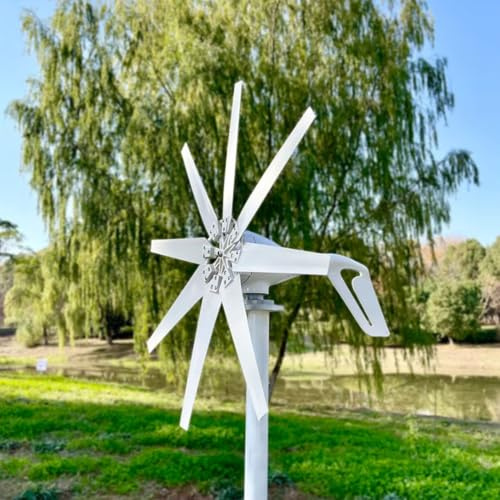HYZHANHONG Aerogeneradores de 6000W para Electricidad en casa, turbina eólica de levitación magnética de 12V 24V 48V 220V, generador de turbina eólica de 8 Palas con Controlador.,220V