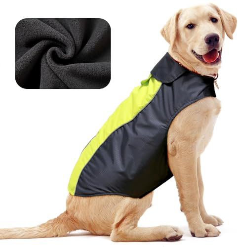 Hunde-Regenmantel, Leichter Wasserdichter Regenjacke Mit Hundegeschirr - Warmes Hundetuch für Große Hunde (Grün, Groß)