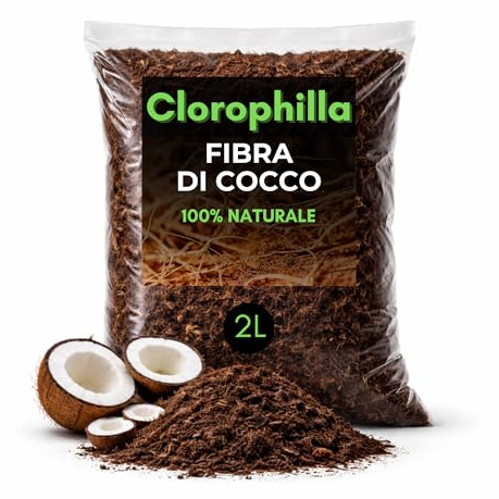 Clorophilla Fibra di Cocco per Piante – Substrato Naturale di Qualità Superiore – Favorisce Radici Forti – Ideale per Vasi e Idroponica (2 Litri)