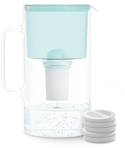 Wessper Jarra Filtradora de Agua de Vidrio 2.5 L | Reemplazo para Aquaphor Standard, Brita Classic, Dafi Classic | 1 Filtro de Agua AquaClassic + 5 Filtros ActiveDisc | Menta