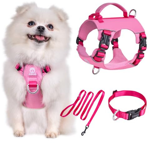 Arblina Hundegeschirr Kleine Hunde Set, Kaleido Leichtes Geschirr & Halsband & Leinenset für Kleine/Winzige/Mini-Hunde, Hundegeschirr mit Griff und Lichtreflektierendem Gurt