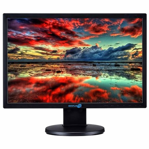 SIMPLETEK - Monitor Schermo da 19 HD 16:10- VGA | Montaggio a parete | Ottimo per casa e lavoro d’ufficio | Base inclusa (Ricondizionato)