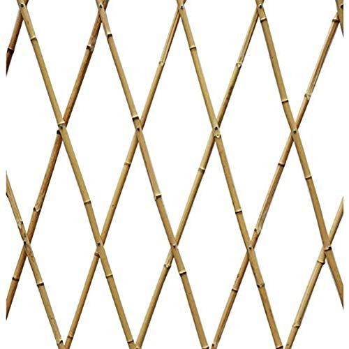 Suinga Celosia de Bambu de 90 x 240 cm, para enredaderas. Útil para jardines, vallas, decoración, sujeción de plantas