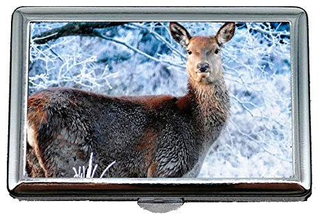 Edelstahl ID oder Zigarettenetui, weißer Schnee träumt Natur Tier Visitenkartenetui Brieftasche Kreditkartenetui ID