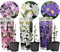 Plant in a Box - Plantes grimpantes de clématites - Mélange de 3 plantes - Pot de 9cm - Hauteur 25-40cm