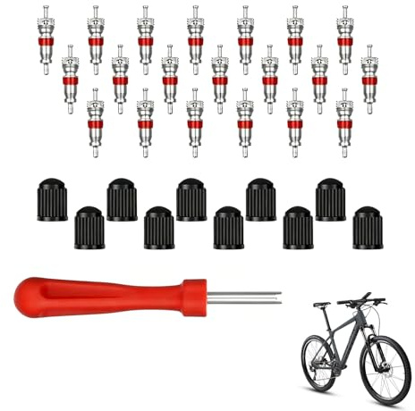 Juego de 31 Herramientas para válvulas de neumáticos, Incluye Extractor de núcleo de válvula, 10 Tapones de válvula de neumáticos, 20 núcleos de válvula, para Coches, Motos y Bicicletas