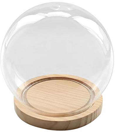Tubayia Campana de cristal con base de madera, para casa, oficina, decoración, regalo (bola)