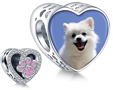 Annmors personalisierte Foto Charm 925 Sterling Silber Familie Mutter Schwester Tochter Schildkröte Fußabdrücke Liebe Glückliches Herz Anhänger Fit Armbänder/Halskette Perlen Schmuck für Frauen