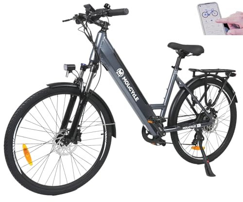 Molicycle E-Bike Damen 26 Zoll Tiefeinsteiger Trekkingrad E-Cityrad mit 36V 14.5Ah Akku - 110km Reichweite, Hydraulische Scheibenbremsen, EU-konformes Ebike mit APP (Grau)
