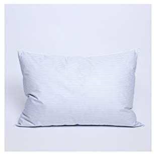 Lot de 2 oreillers Plumes 50 x 70 cm Dodo