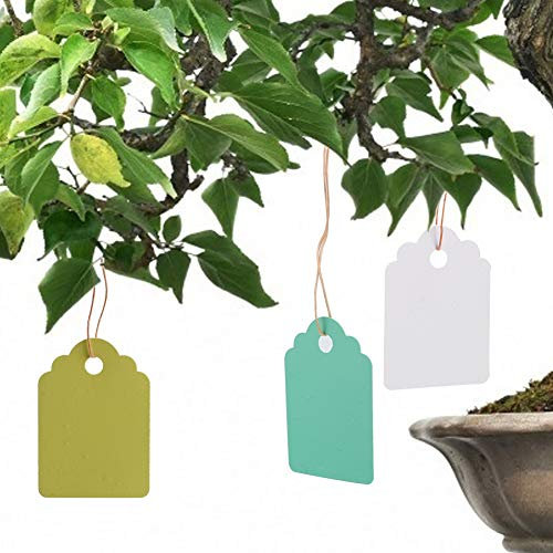 Wifehelper Pflanze hängende Tag, 300Pcs Wiederverwendbare wasserdichte PVC-Pflanze Label Gartenpflanzen hängende Tag Flower Marker 3.6x2.5cm