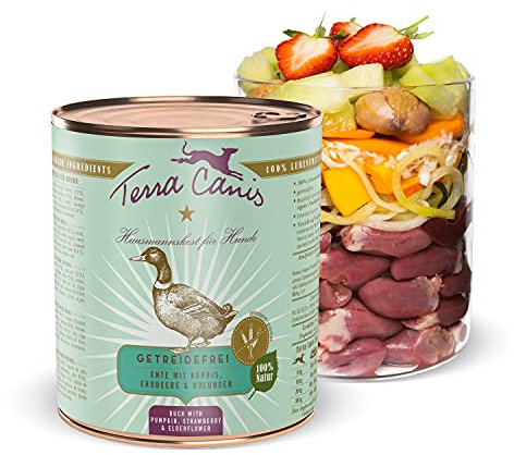 Terra Canis Ente, Kürbis & Erdbeere - Getreidefreies Nassfutter, 800g I Premium Hundefutter in 100% Lebensmittelqualität Aller Rohstoffe I Reichhaltig & gesund, allergenarm & glutenfrei