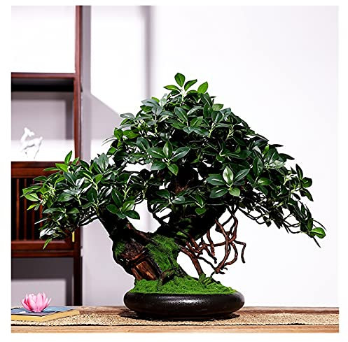 XXXXW Handmade Living Room Simulation Plant Bonsai Indoor Large Fake Flower TV Cabinet Porch Green Plant Fake Tree Potted Ornament Decoration Gift Fake Plant (Color : A)