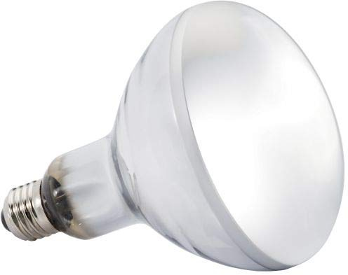 REPTI ZOO D3 Super Sun (UVA/UVB Lampe) 100 Watt P95100 (kein Vorschaltgerät notwendig)