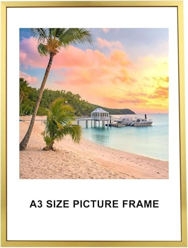 LDXDRU 12 x 16 Inch Gold Picture Frames with Plexiglass, A3 Size Aluminum Alloy Photo Frames, Poster Frame Display Frame Certificate Frame for Wall Photo Picture Gallery(30x40cm)