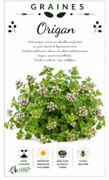 50 Graines d'Origan commun (Origanum vulgare) pour un jardin facile à cultiver