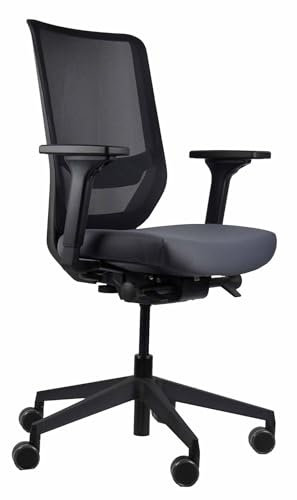 TREND OFFICE to-sync pro, ergonomischer Bürostuhl, mit Armlehnen, modernes Design, Homeoffice, umweltzertifiziert, by Dauphin (Schwarz/Grau, Netz-Rückenlehne)