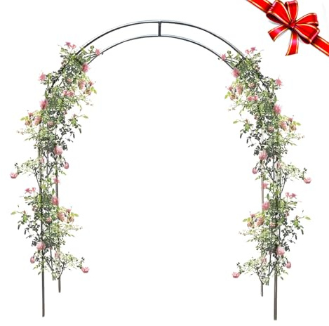 Rosenbogen Gartenbogen, Gartenbogen Aus Edelstahl, Stabil Metall Torbogen für Verschiedene Kletterpflanzen Und Rosen Romantischer Rankenbogen, Wetterfest Pflanzen Rankhilfe(1.5x2.4m)