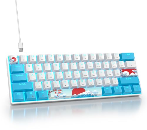 SOLIDEE mechanische gaming tastatur 60 prozent,61 Tasten mit Lineare rote Schalter,Eisblaues Licht,kabelgebundene mechanische Tastatur mit LED-Hintergrundbeleuchtung,für PS5/PS4/Xbox(61 Blue White)