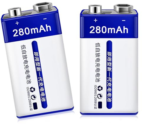 XAGMODSHN Batterie rechargeable NiMH de voyage 9 V 280 mAh avec étui de rangement de protection pour les voyages fréquents et sorties stables