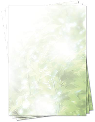 LYSCO Motiv Briefpapier (MPA-5115, DIN A4, 100 Blatt) von der Sonne leuchtend grüner Blätterwald Motivpapier