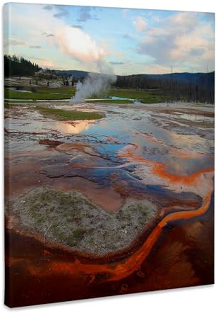 3dRose Biscuit Basin Yellowstone National Park Museum Grade Canvas Wrap 16x20
