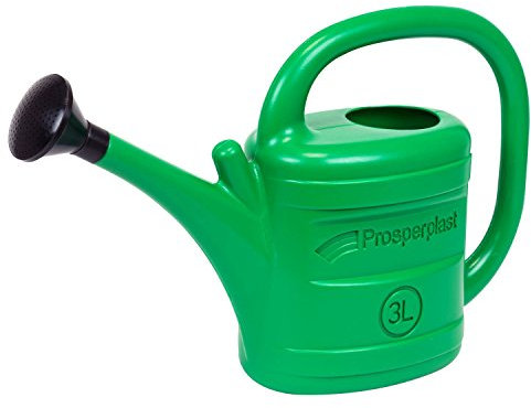 Garden Watering Can Green Wash Watering Cans Rose Storage Nozzle (3L)