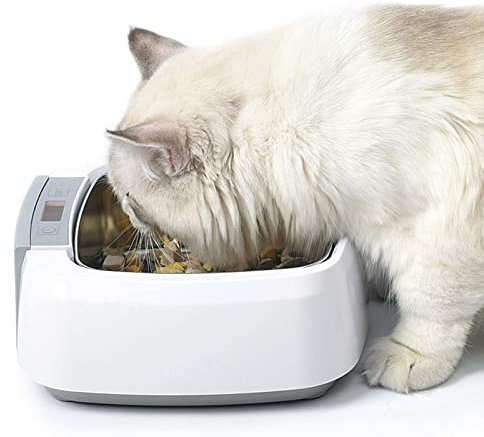 PJDDP Ciotola Riscaldata per Animali Domestici Ciotole per Cani in Acciaio Inossidabile con Display LCD della Temperatura, Ciotola per Acqua Termica Elettronica per Cani/Gatti/Conigli/Polli,Square
