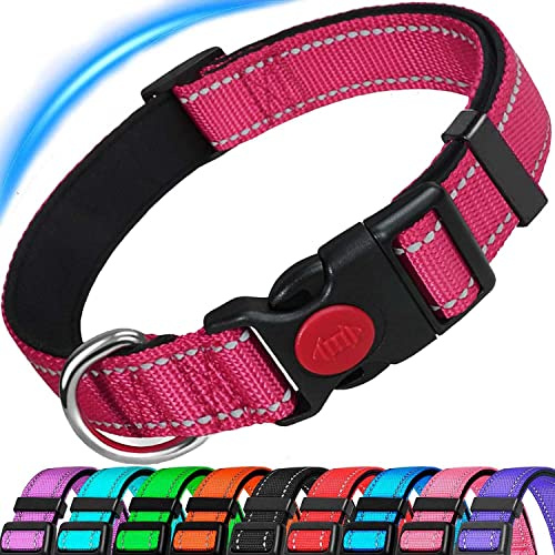 Dog Collar, Reflective Adjustable Basic Dog Collar with Soft Neoprene Padding, Durable Nylon Pet Collars for Puppy Small Medium Large Dogs