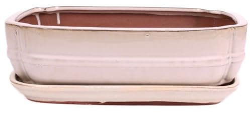 Bonsai - Schale eckig 32.5 x 25.5 x 9 cm, Creme, mit Untersetzer 41112