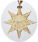 Swarovski Weihnachtsstern 2009 SCS Gold Christmas Ornament 2009 1026761