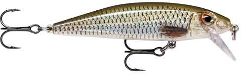 Rapala - CountDown un leurre pour cibler les poissons suspendus comme les truites, saumons, perches, sandres, black bass et brochets en eau douce -5cm,4 g coloris Live Roach