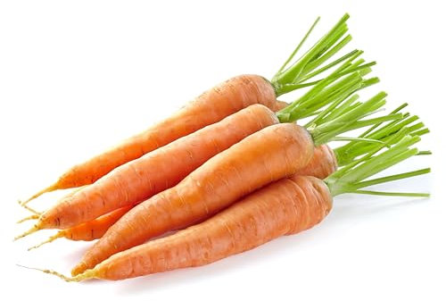 Semi CAROTE FLAKKEE 2 In Busta Ermetica MADE IN ITALY Qualità superiore con 95% di germogliazione con istruzioni